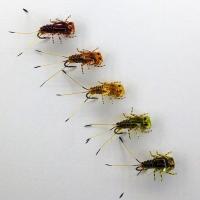 Поденка медь