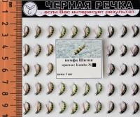 Нимфа Шитик кр Kumho №18