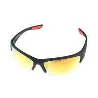 Polarized P566 col1
